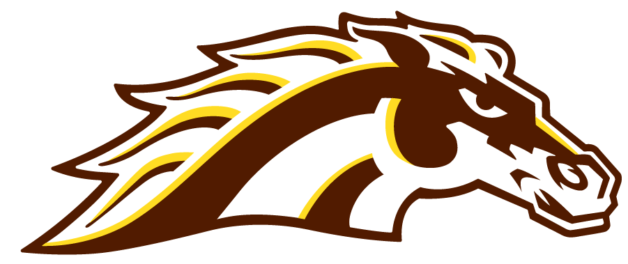 Western Michigan Broncos 2021-Pres Secondary Logo iron on transfers for T-shirts